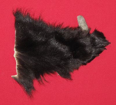 Picture of this lot Tanned Black Bear Feet