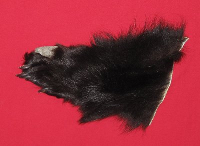Picture of this lot Tanned Black Bear Feet