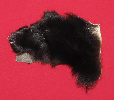 Picture of this lot Tanned Black Bear Feet