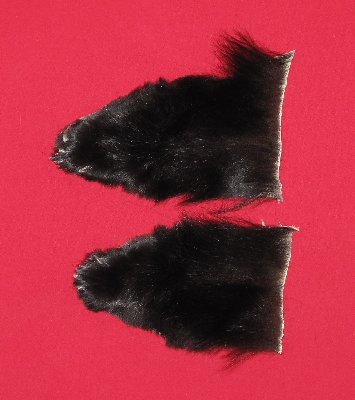 Picture of this lot Tanned Black Bear Feet
