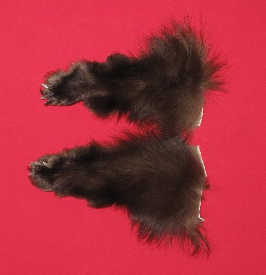 Picture of this lot Tanned Black Bear Feet