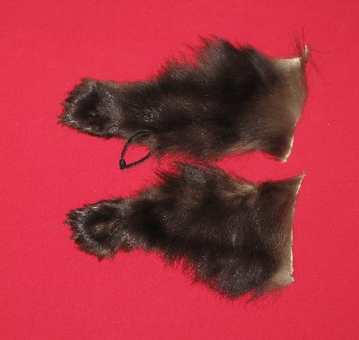 Picture of this lot Tanned Black Bear Feet