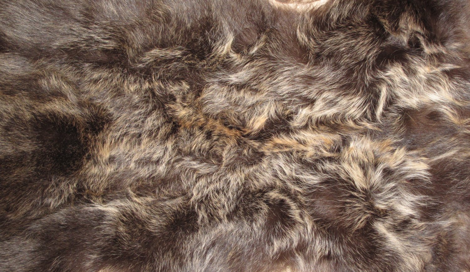 Tanned Furs : GRIZZLY BEAR (6140-0066) : hideandfur.com