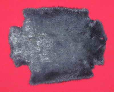 Picture of this lot Tanned Legholes Split Beaver Hides, Furs, Pelts, Skins