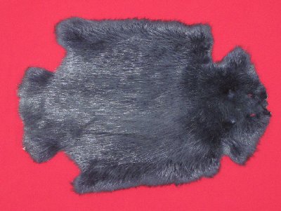 Picture of this lot Tanned Legholes Split Beaver Hides, Furs, Pelts, Skins