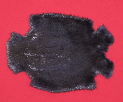 Picture of this lot Tanned Legholes Split Beaver Hides, Furs, Pelts, Skins