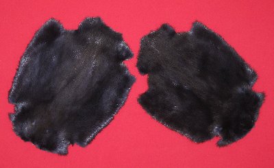 Picture of this lot Tanned Legholes Split Beaver Hides, Furs, Pelts, Skins