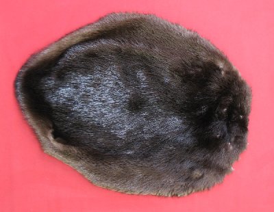 Picture of this lot Tanned Round Beaver Hides, Furs, Pelts, Skins