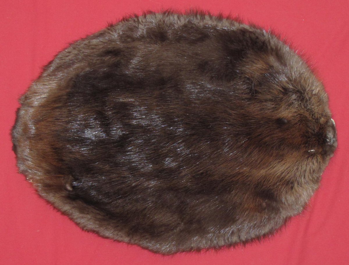 Tanned Furs : BEAVER - ROUND (6162-2098) : hideandfur.com