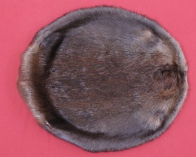 Picture of this lot Tanned Round Beaver Hides, Furs, Pelts, Skins