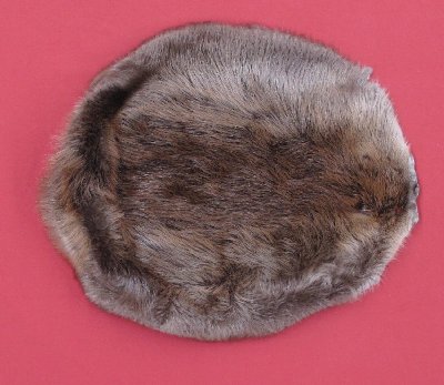 Picture of this lot Tanned Round Beaver Hides, Furs, Pelts, Skins