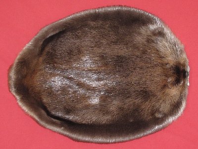 Picture of this lot Tanned Round Beaver Hides, Furs, Pelts, Skins