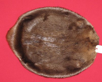 Picture of this lot Tanned Round Beaver Hides, Furs, Pelts, Skins