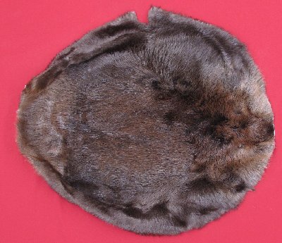 Picture of this lot Tanned Round Beaver Hides, Furs, Pelts, Skins
