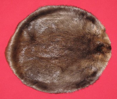 Picture of this lot Tanned Round Beaver Hides, Furs, Pelts, Skins