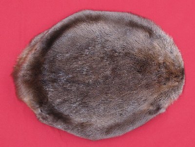 Picture of this lot Tanned Round Beaver Hides, Furs, Pelts, Skins