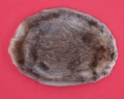 Picture of this lot Tanned Round Beaver Hides, Furs, Pelts, Skins
