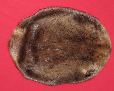 Picture of this lot Tanned Round Beaver Hides, Furs, Pelts, Skins