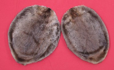 Picture of this lot Tanned Round Beaver Hides, Furs, Pelts, Skins