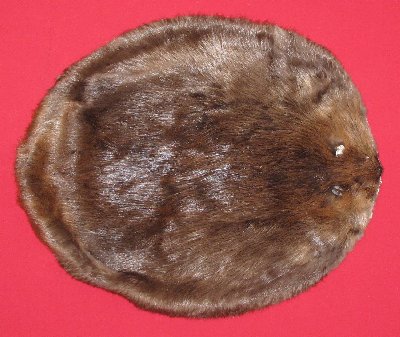Picture of this lot Tanned Round Beaver Hides, Furs, Pelts, Skins