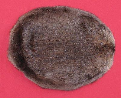 Picture of this lot Tanned Round Beaver Hides, Furs, Pelts, Skins