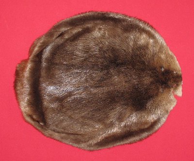 Picture of this lot Tanned Round Beaver Hides, Furs, Pelts, Skins