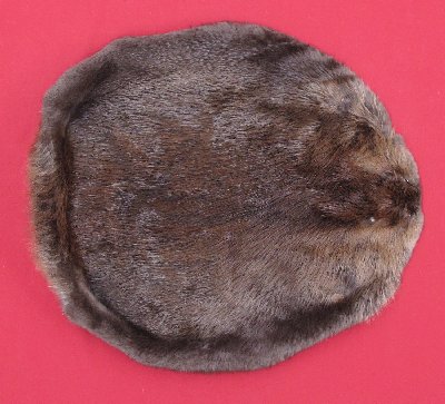 Picture of this lot Tanned Round Beaver Hides, Furs, Pelts, Skins