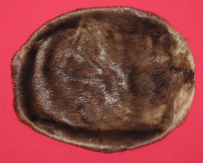 Picture of this lot Tanned Round Beaver Hides, Furs, Pelts, Skins