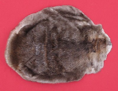 Picture of this lot Tanned Round Beaver Hides, Furs, Pelts, Skins