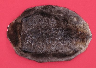 Picture of this lot Tanned Round Beaver Hides, Furs, Pelts, Skins