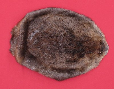 Picture of this lot Tanned Round Beaver Hides, Furs, Pelts, Skins