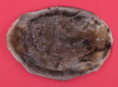 Picture of this lot Tanned Round Beaver Hides, Furs, Pelts, Skins