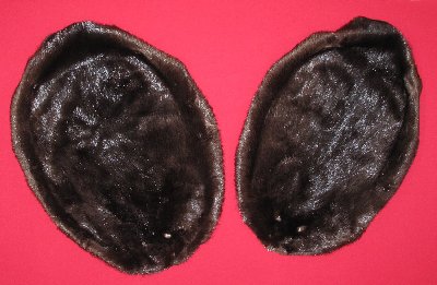 Picture of this lot Tanned Round Beaver Hides, Furs, Pelts, Skins