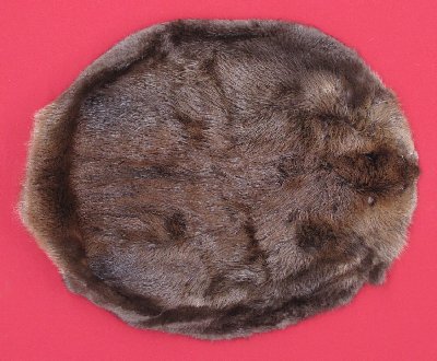 Picture of this lot Tanned Round Beaver Hides, Furs, Pelts, Skins