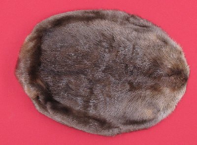 Picture of this lot Tanned Round Beaver Hides, Furs, Pelts, Skins