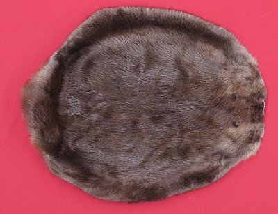 Picture of this lot Tanned Round Beaver Hides, Furs, Pelts, Skins