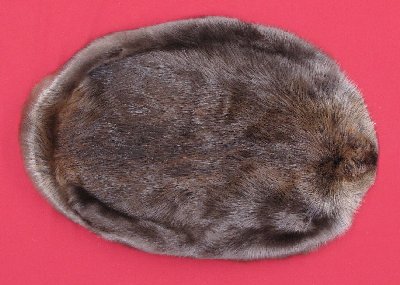 Picture of this lot Tanned Round Beaver Hides, Furs, Pelts, Skins