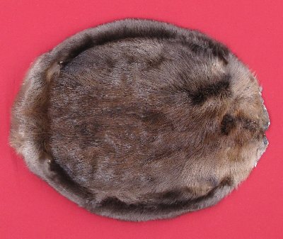 Picture of this lot Tanned Round Beaver Hides, Furs, Pelts, Skins