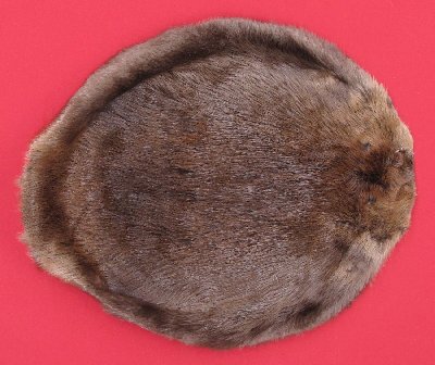 Picture of this lot Tanned Round Beaver Hides, Furs, Pelts, Skins