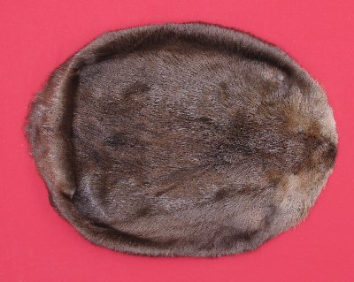 Picture of this lot Tanned Round Beaver Hides, Furs, Pelts, Skins