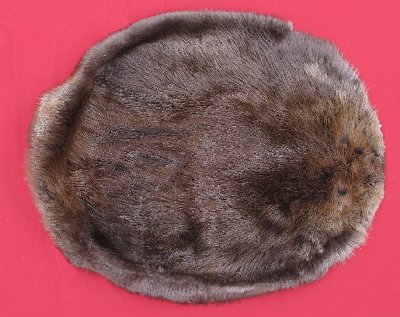 Picture of this lot Tanned Round Beaver Hides, Furs, Pelts, Skins
