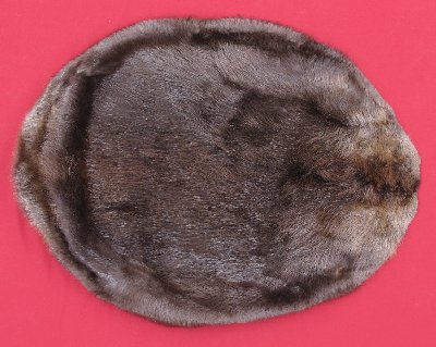 Picture of this lot Tanned Round Beaver Hides, Furs, Pelts, Skins