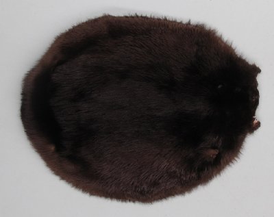 Picture of this lot Tanned Round Beaver Hides, Furs, Pelts, Skins