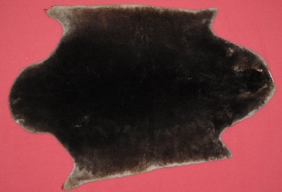 Picture of this lot Tanned Plucked and Sheared Beaver Hides, Furs, Pelts, Skins