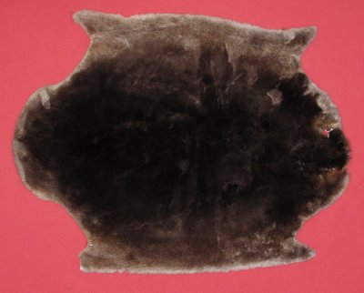 Picture of this lot Tanned Plucked and Sheared Beaver Hides, Furs, Pelts, Skins