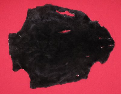Picture of this lot Tanned Plucked and Sheared Beaver Hides, Furs, Pelts, Skins