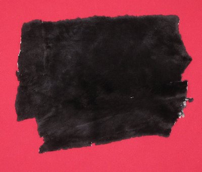 Picture of this lot Tanned Plucked and Sheared Beaver Hides, Furs, Pelts, Skins