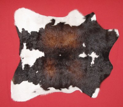 Picture of this lot Tanned Furs - Beef