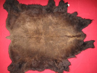 Picture of this lot Tanned Buffalo Robes, American Bison