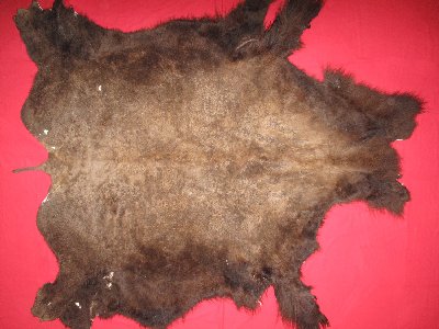 Picture of this lot Tanned Buffalo Robes, American Bison